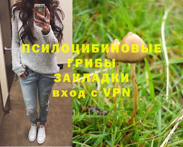 амф Абинск
