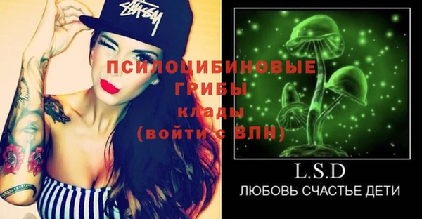 бошки Семилуки
