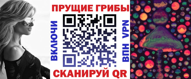 Псилоцибиновые грибы прущие грибы  Мосальск 